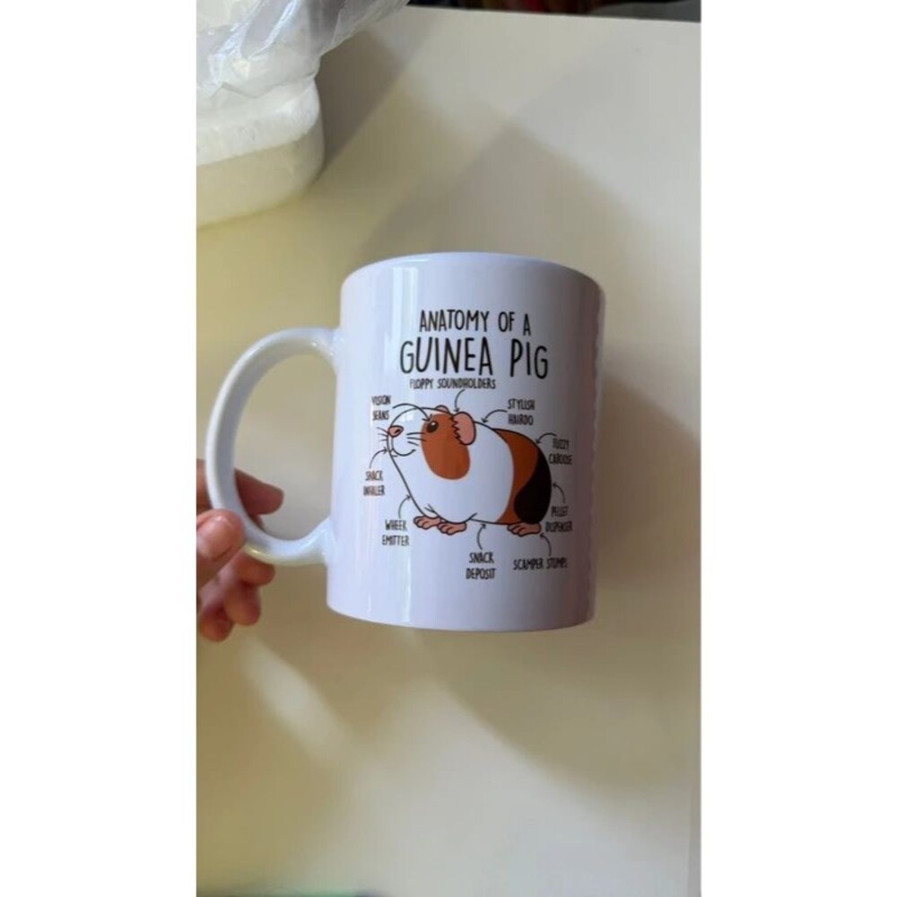 Guinea Pig Mug Funny Anatomy Coffee Cup Cute Pet Lover Cavy Gift